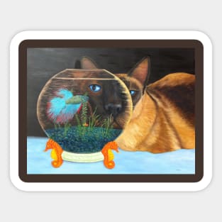 Siamese Cat Looking Through a Fishbowl at a Betta Fish. Sticker